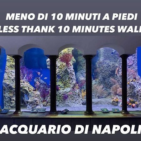 Bausan44 Napoli Dış mekan fotoğraf
